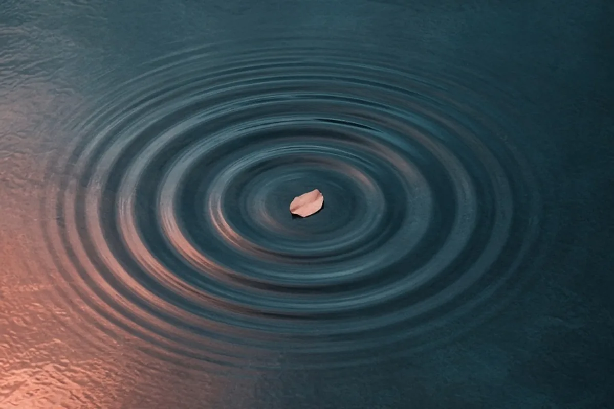 Illustration for IVF Success Rates by Age: Understand Your Real Chances