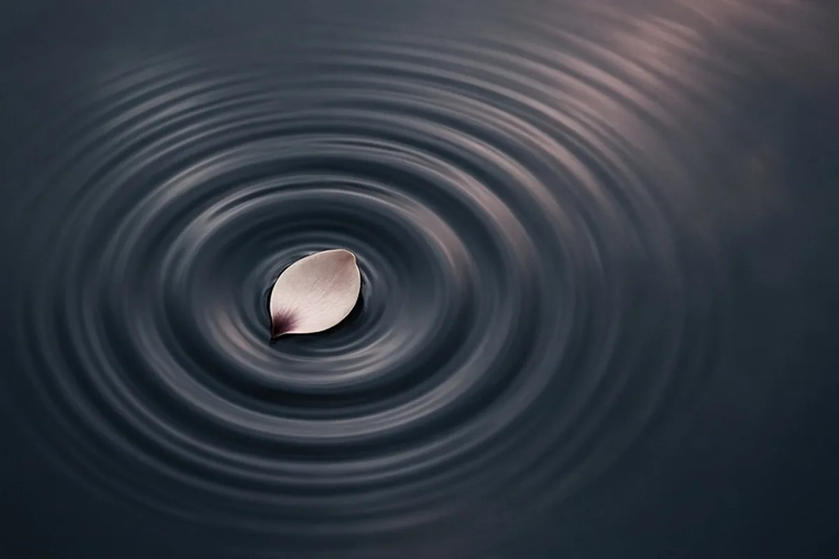 Illustration for Betrayal Trauma Therapy: Restoring Stability and Clarity